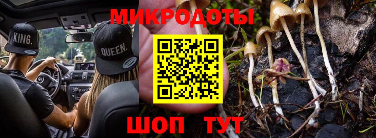 Галлюциногенные грибы Magic Shrooms  Псилоцибиновые грибы мицелий  Вход с VPN  Шебекино 